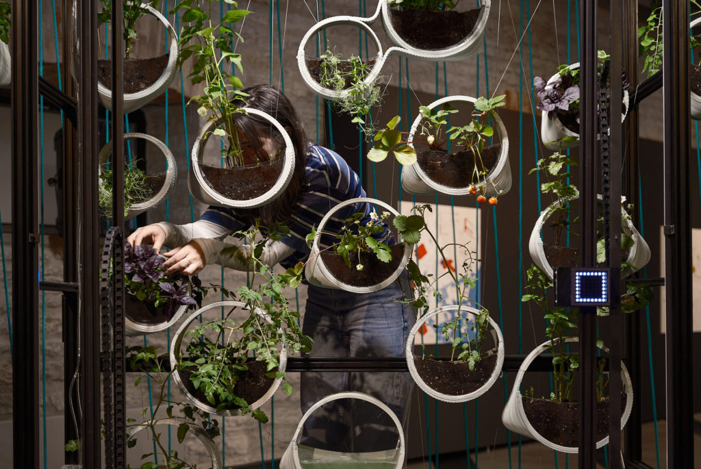 Robotic Urban Farmers